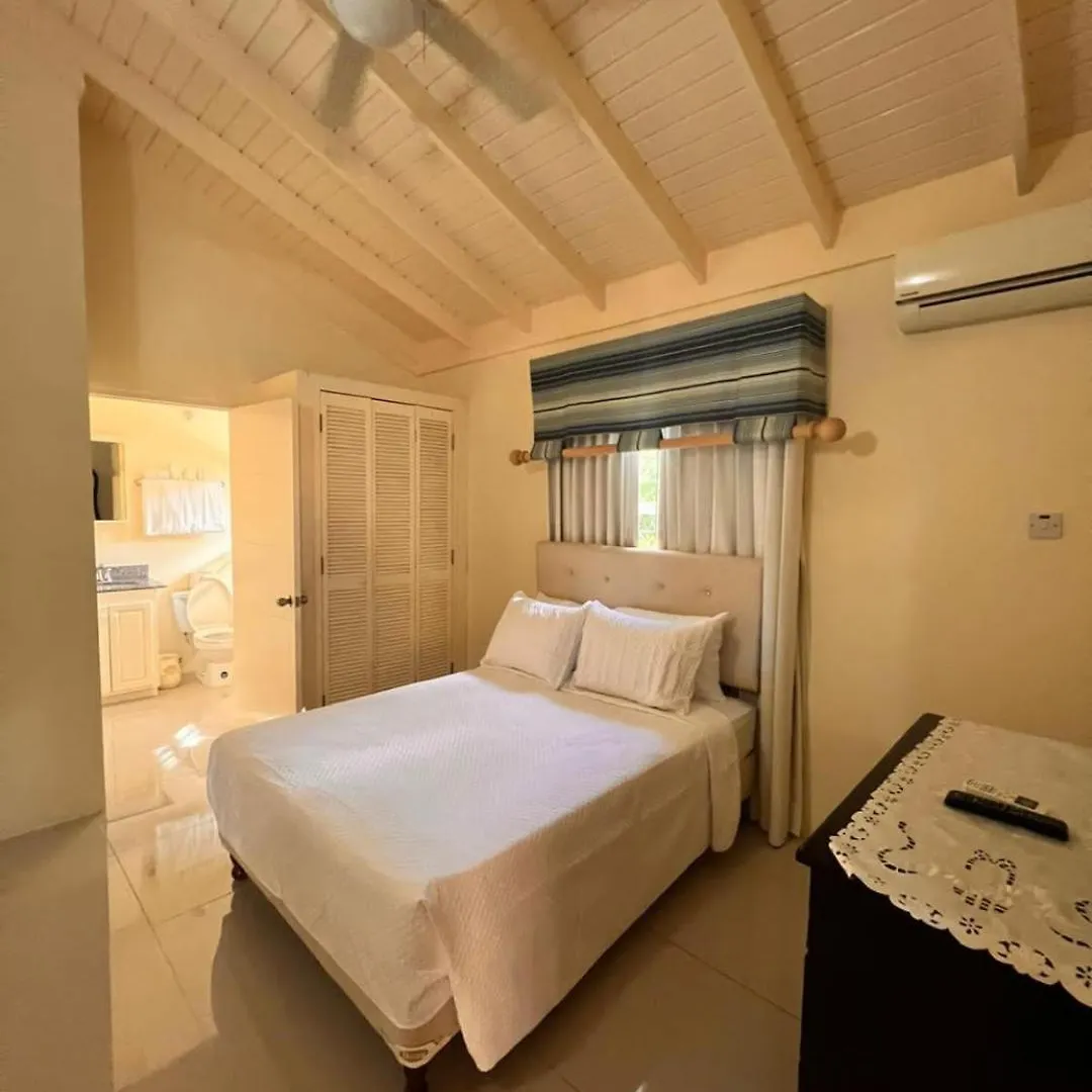 Virgos Villa - Ac Pool Wifi Smarttv Gym Очо-Риос